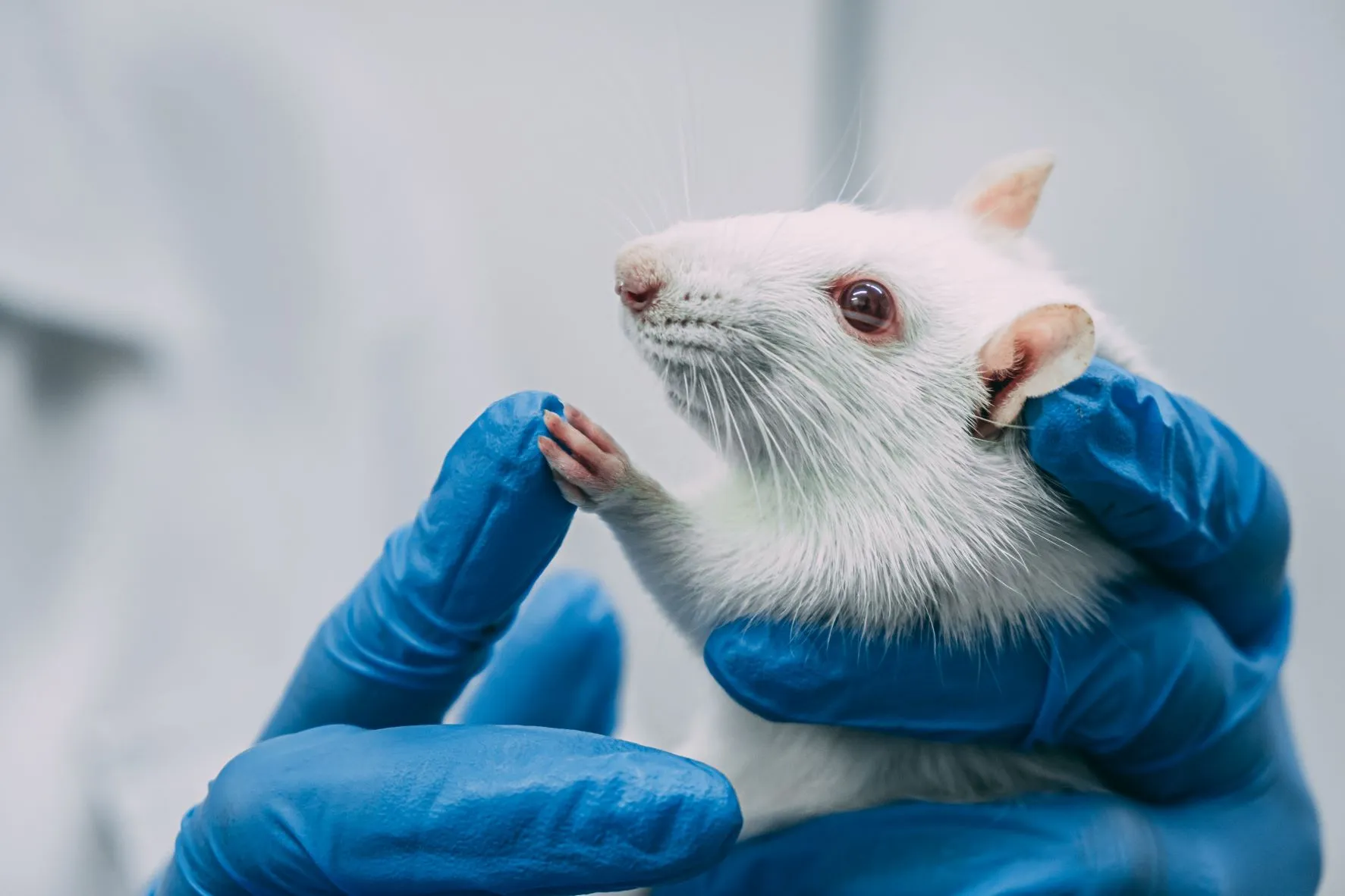 Veterinary LIMS